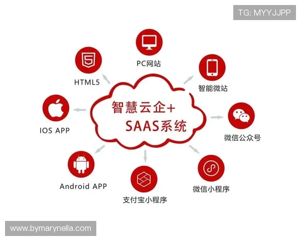 星空电子入口与多平台无缝对接，打造一站式数字服务生态系统