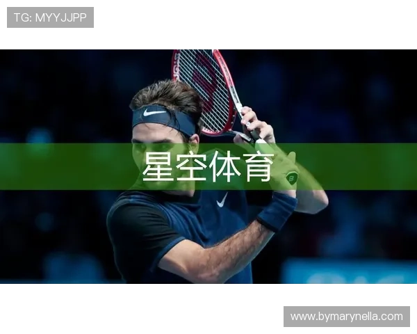 星空体育平台安全漏洞分析与应对策略，保障平台持续稳定运行