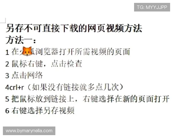 UED体育下载：全方位指南帮助用户轻松下载安装流程揭秘