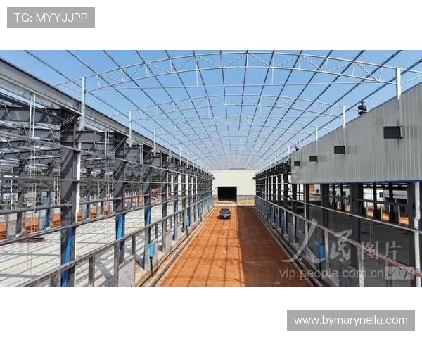 博鱼官网登录平台全新上线,稳定安全保障每一位玩家的游戏体验 博鱼官网登录平台全新上线,稳定安全保障每一位玩家的游戏体验